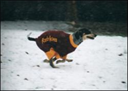 Click to view exif information